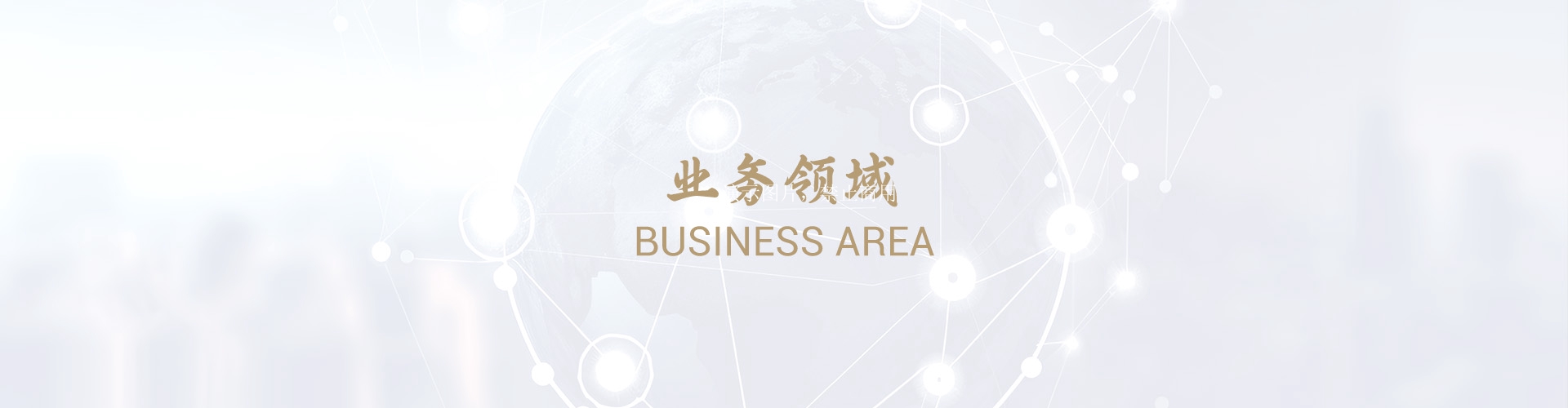 业务领域